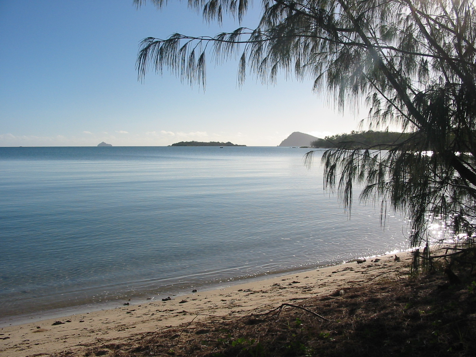 Dingo Beach Sunrise The Great Dingo Beach Escape